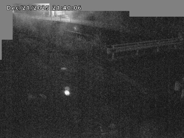 江東川１2025/12/22 1:00:00