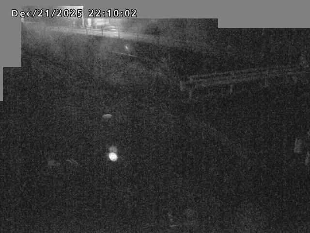 江東川１2025/12/22 1:00:00