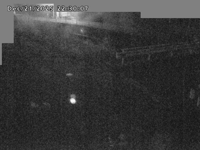 江東川１2025/12/22 1:00:00