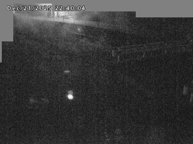 江東川１2025/12/22 1:00:00