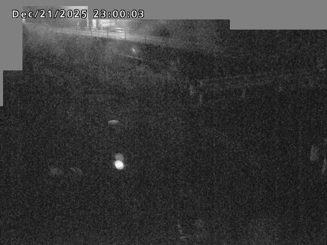 江東川１2025/12/22 1:00:00