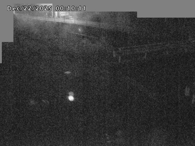 江東川１2025/12/22 1:00:00