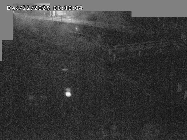 江東川１2025/12/22 1:00:00