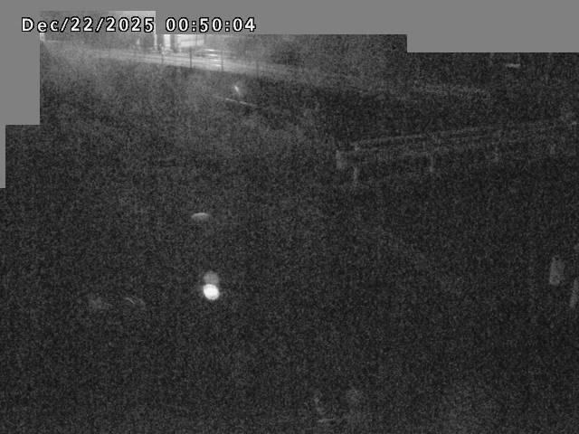 江東川１2025/12/22 1:00:00