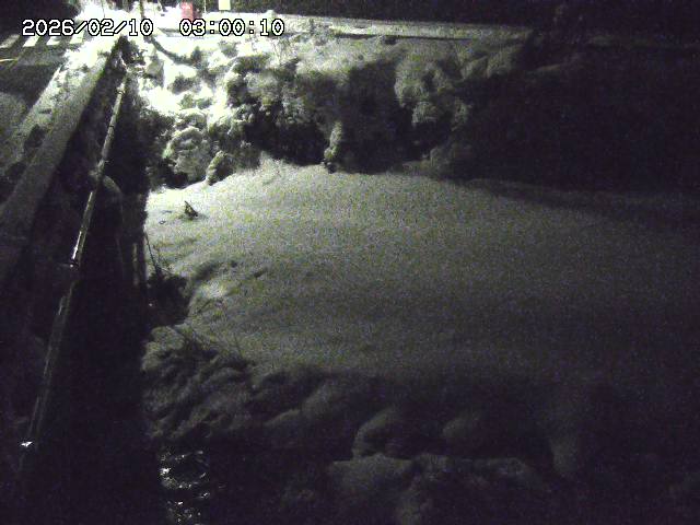 大江川１2026/02/11 2:20:00