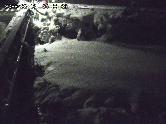 大江川１2026/02/11 2:20:00