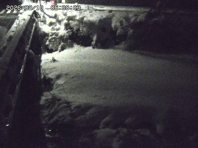 大江川１2026/02/11 2:20:00