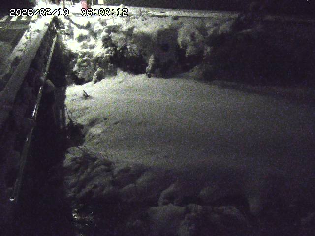 大江川１2026/02/11 2:20:00