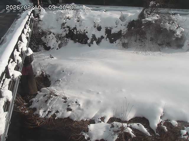 大江川１2026/02/11 2:20:00