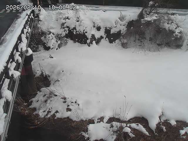 大江川１2026/02/11 2:20:00