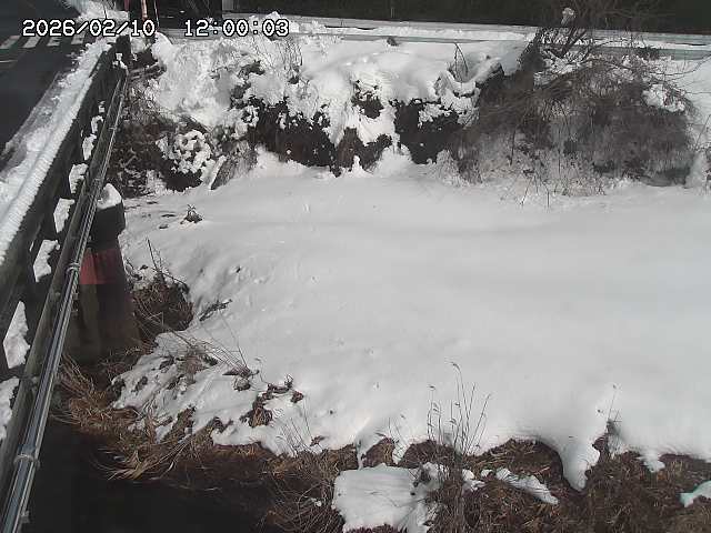 大江川１2026/02/11 2:20:00