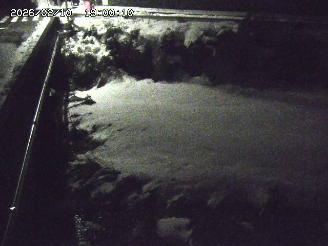 大江川１2026/02/11 2:20:00