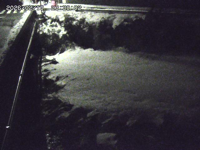 大江川１2026/02/11 2:20:00