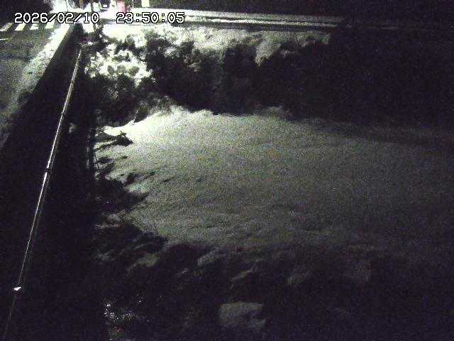 大江川１2026/02/11 2:20:00