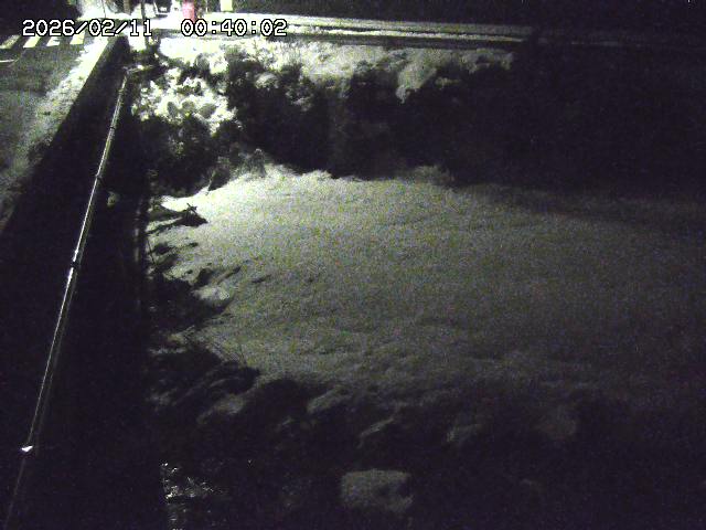 大江川１2026/02/11 2:20:00