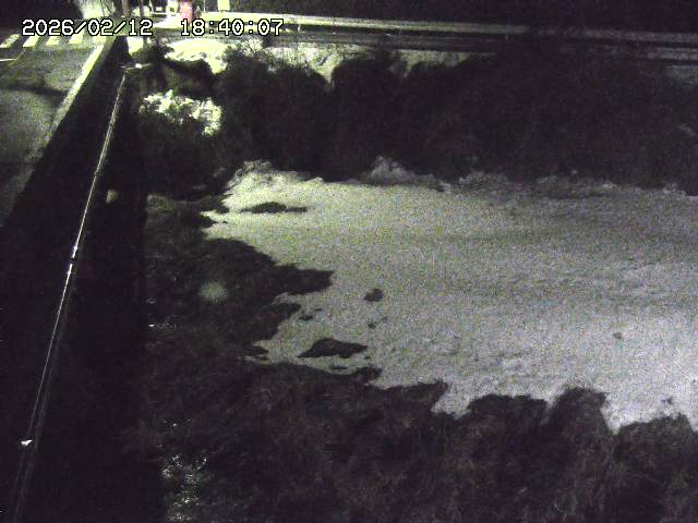 大江川１2026/02/12 18:50:00