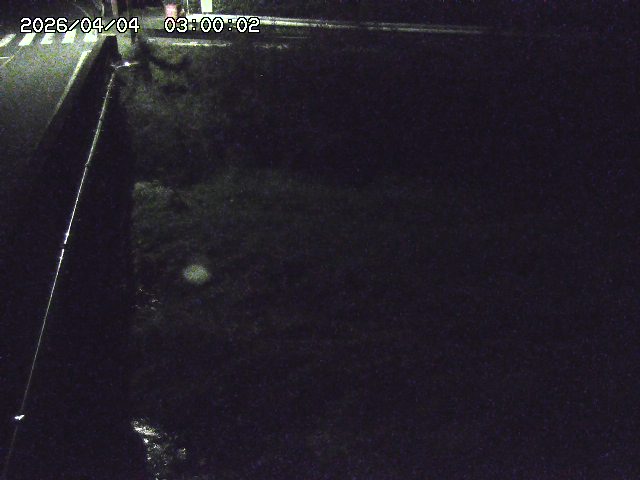 大江川１2026/04/05 3:30:00