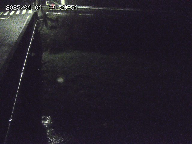 大江川１2026/04/05 3:30:00