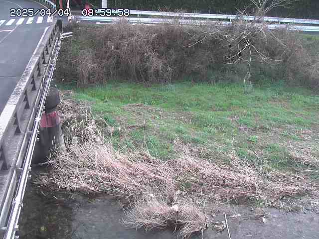 大江川１2026/04/05 3:30:00