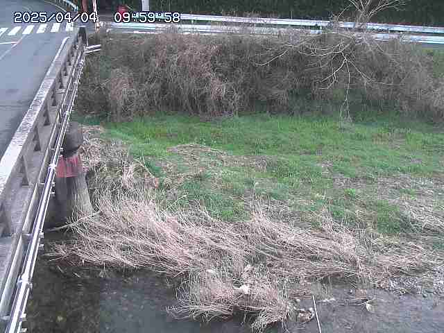 大江川１2026/04/05 3:30:00