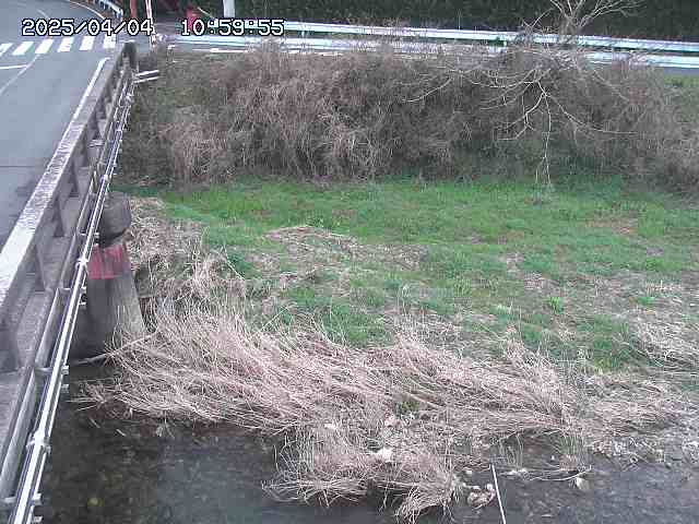 大江川１2026/04/05 3:30:00