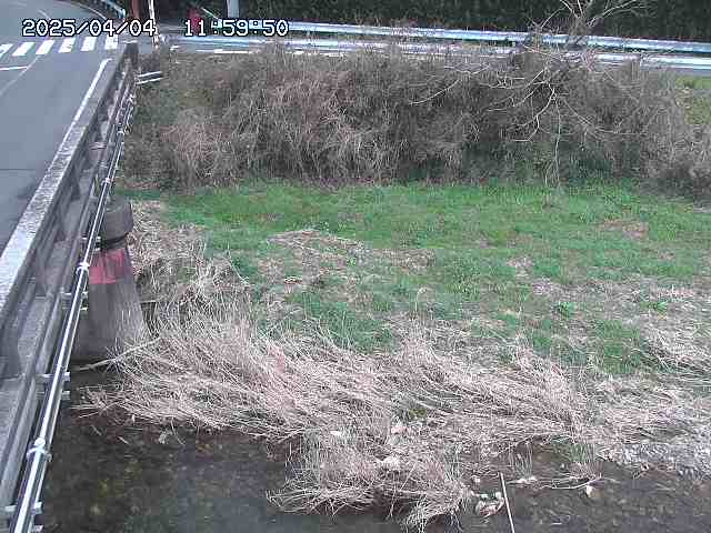 大江川１2026/04/05 3:30:00