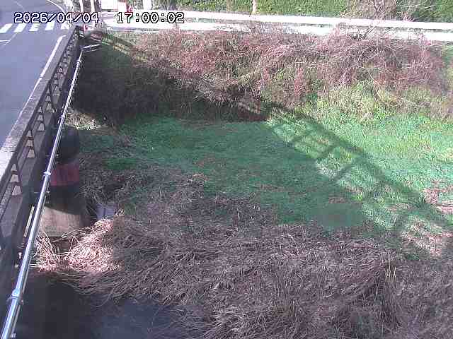 大江川１2026/04/05 3:30:00