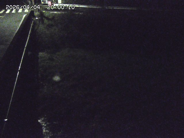 大江川１2026/04/05 3:30:00