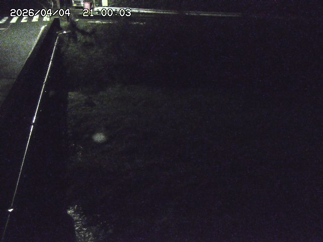 大江川１2026/04/05 3:30:00