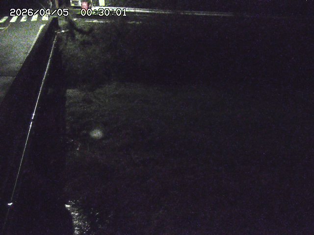 大江川１2026/04/05 3:30:00