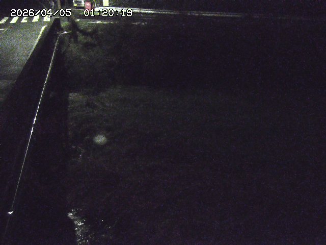 大江川１2026/04/05 3:30:00