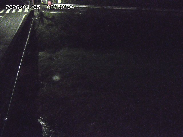 大江川１2026/04/05 3:30:00