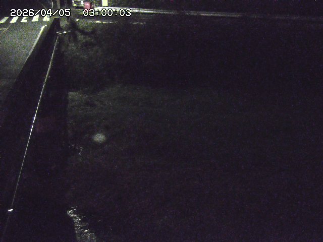 大江川１2026/04/05 3:30:00