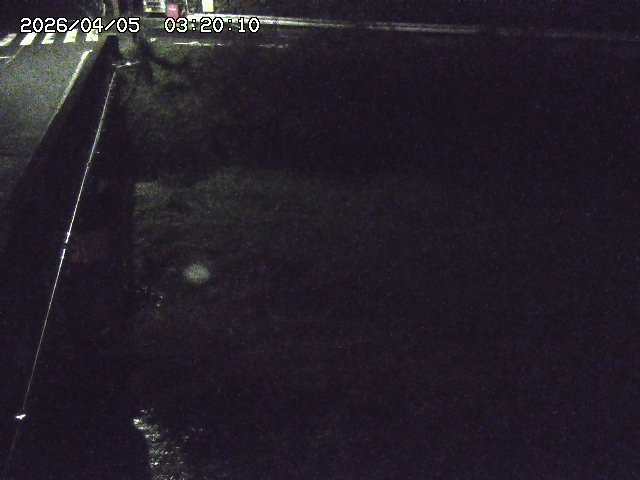 大江川１2026/04/05 3:30:00