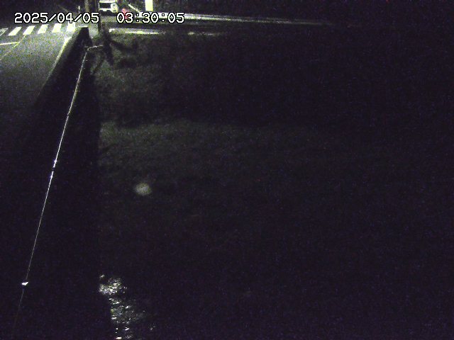 大江川１2026/04/05 3:30:00