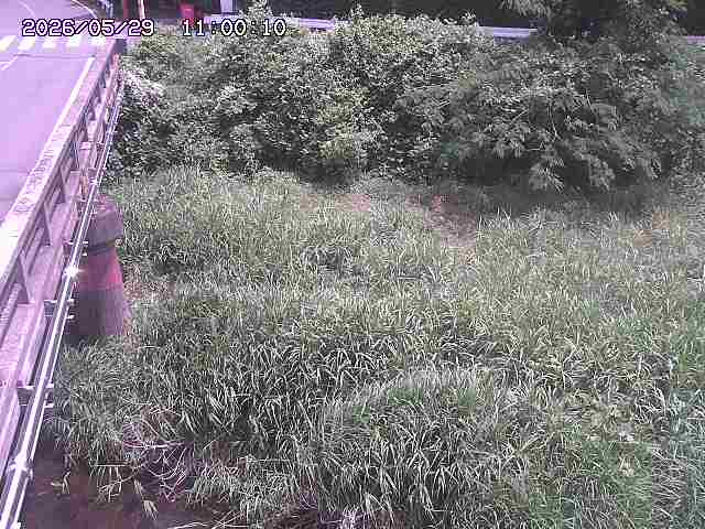 大江川１2026/05/30 3:30:00