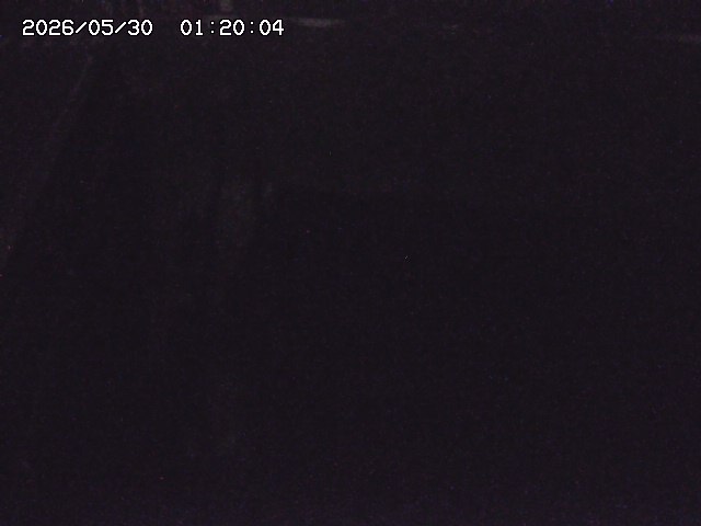 大江川１2026/05/30 3:30:00