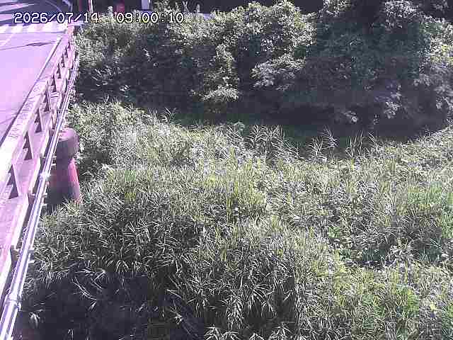大江川１2026/07/14 15:20:00