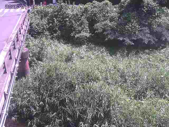 大江川１2026/07/14 15:20:00