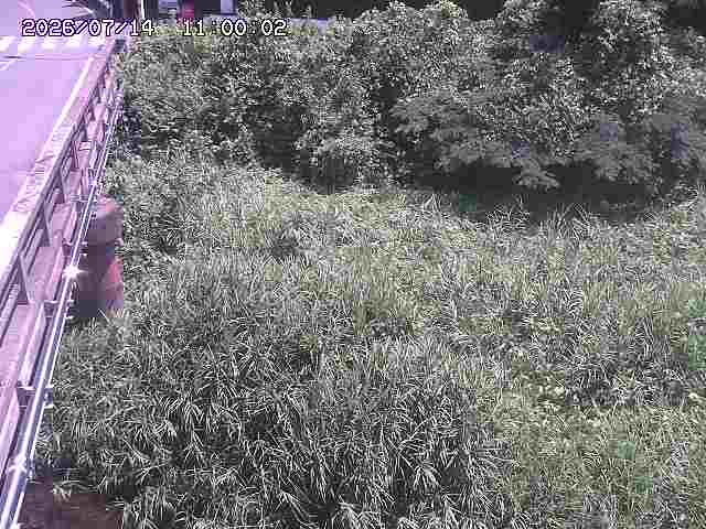 大江川１2026/07/14 15:20:00