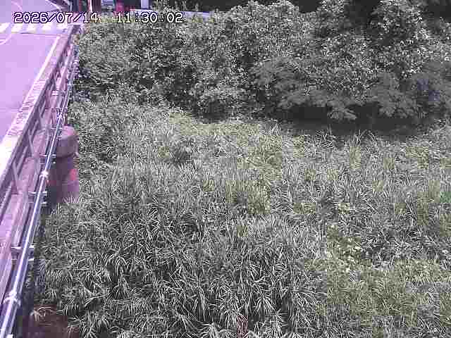 大江川１2026/07/14 15:20:00