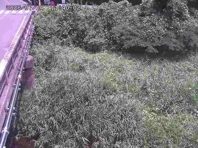 大江川１2026/07/14 15:20:00