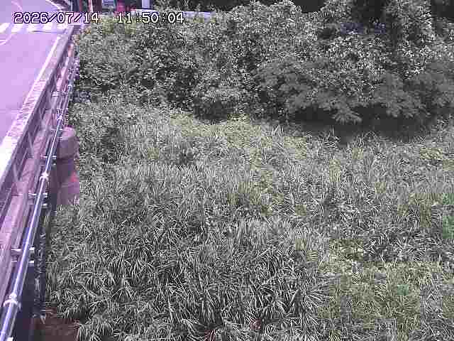 大江川１2026/07/14 15:20:00