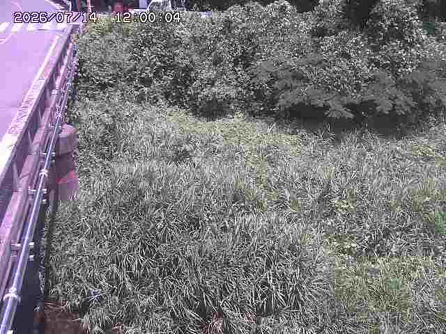 大江川１2026/07/14 15:20:00