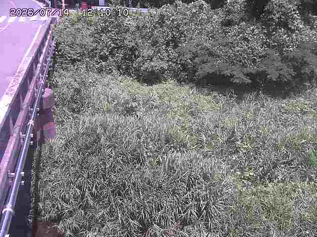 大江川１2026/07/14 15:20:00