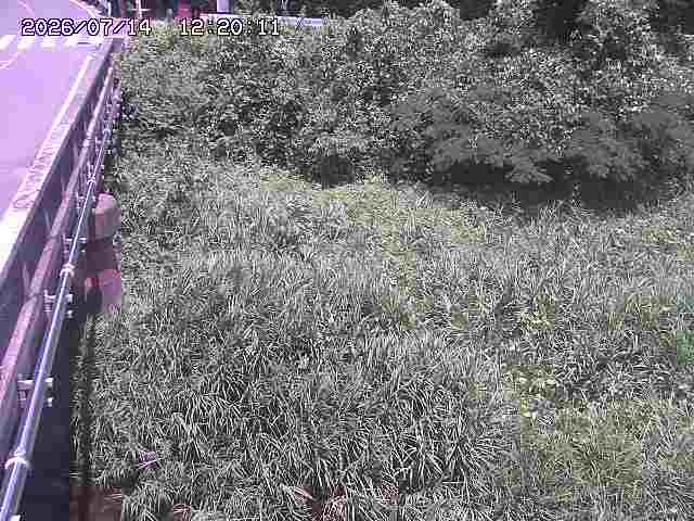 大江川１2026/07/14 15:20:00