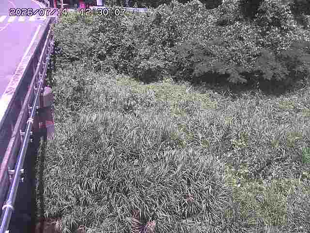 大江川１2026/07/14 15:20:00