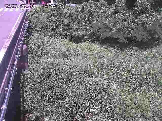 大江川１2026/07/14 15:20:00