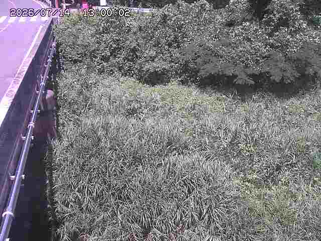 大江川１2026/07/14 15:20:00