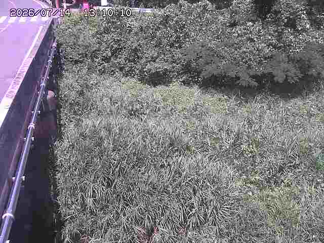 大江川１2026/07/14 15:20:00